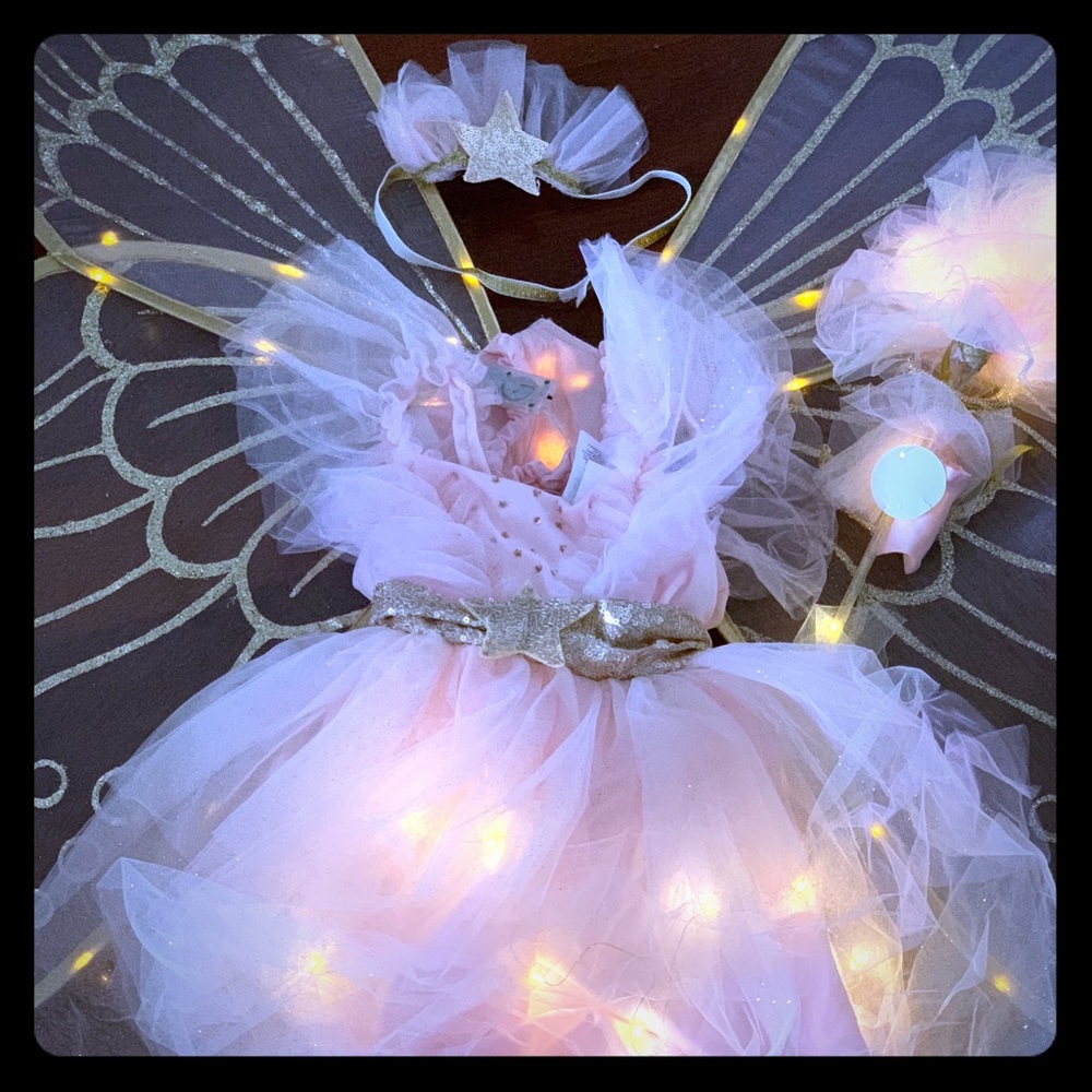 xx SOLD  PB Fairy Light up costume xxSOLD